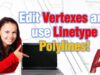 Edit Vertexes and use Linetype Polylines!