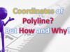 Coordinates of a Polyline in AutoCAD? But How and Why?