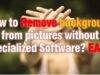 How to Remove Background from Pictures Without Specialized Software? EASY!