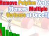 Remove Polyline Vertexes (Remove Multiple Vertexes at Once!!)