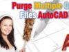 Purge Multiple CAD Files (Batch Purge Drawings in AutoCAD!)