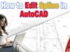 How to Edit Spline in AutoCAD (Add/Remove Vertexes and More!)