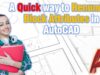 A Quick way to Renumber Block Attributes in AutoCAD