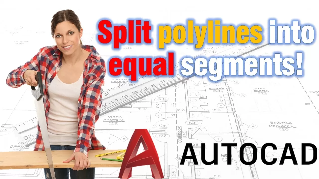 Split polylines into equal segments