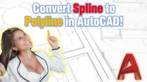 how to convert spline to polyline