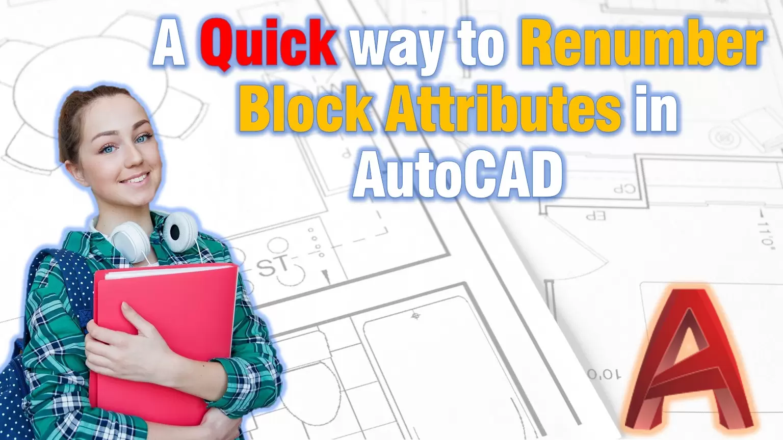 renumber block attributes in autocad
